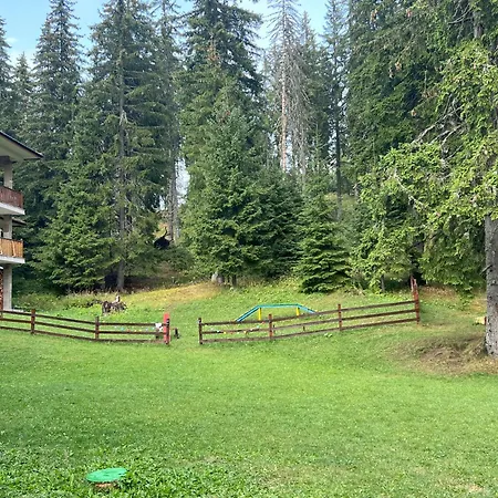 3 спални - електрическо подово отопление - бърз Wifi - веранда - в гората - Warm Forest Nest Pamporovo