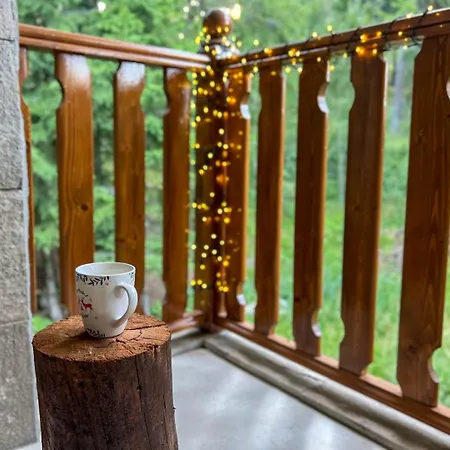 3 спални - електрическо подово отопление - бърз Wifi - веранда - в гората - Warm Forest Nest Appartement Pamporovo