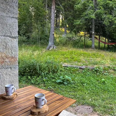 شقة 3 спални - електрическо подово отопление - бърз Wifi - веранда - в гората - Warm Forest Nest بامبوروفو