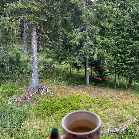 3 спални - електрическо подово отопление - бърз Wifi - веранда - в гората - Warm Forest Nest * بامبوروفو