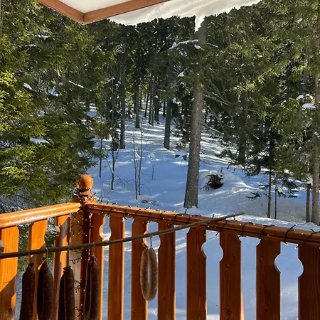 3 спални - електрическо подово отопление - бърз Wifi - веранда - в гората - Warm Forest Nest Appartement