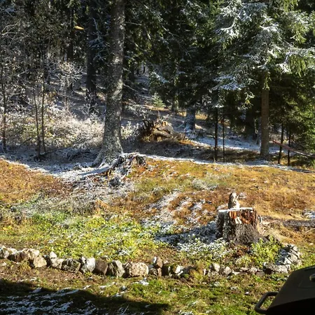 Appartement 3 спални - електрическо подово отопление - бърз Wifi - веранда - в гората - Warm Forest Nest