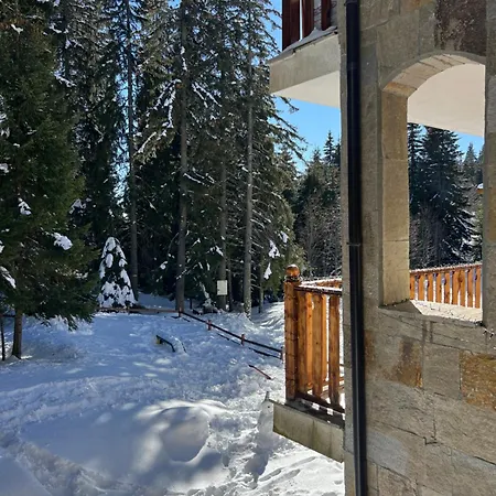3 спални - електрическо подово отопление - бърз Wifi - веранда - в гората - Warm Forest Nest Appartement