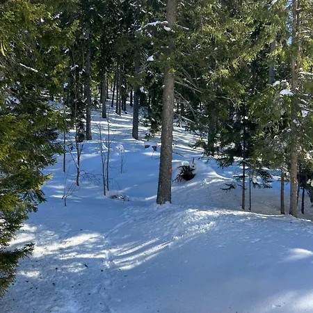Appartement 3 спални - електрическо подово отопление - бърз Wifi - веранда - в гората - Warm Forest Nest Pamporovo