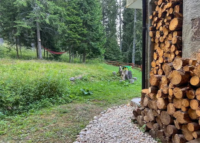3 спални - електрическо подово отопление - бърз Wifi - веранда - в гората - Warm Forest Nest