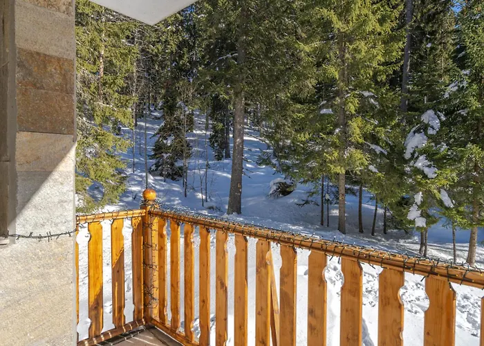 3 спални - електрическо подово отопление - бърз Wifi - веранда - в гората - Warm Forest Nest *