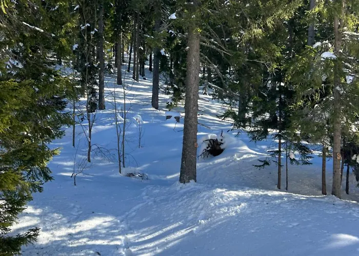 アパート 3 спални - електрическо подово отопление - бърз Wifi - веранда - в гората - Warm Forest Nest パンポロボ